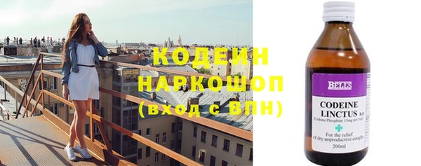 прущие грибы Балабаново