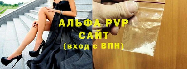прущие грибы Балабаново