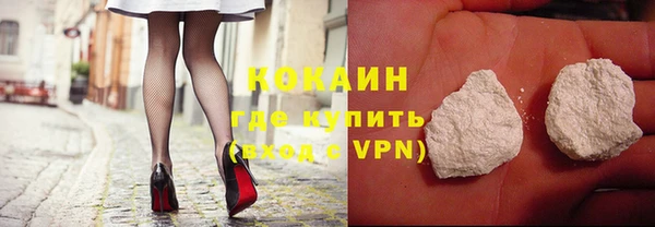 прущие грибы Балабаново