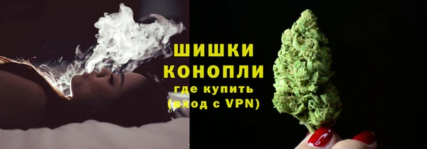прущие грибы Балабаново