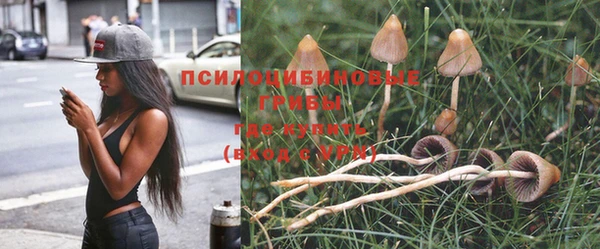 гидропоника Баксан