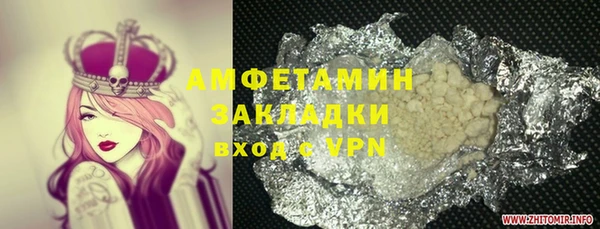 прущие грибы Балабаново
