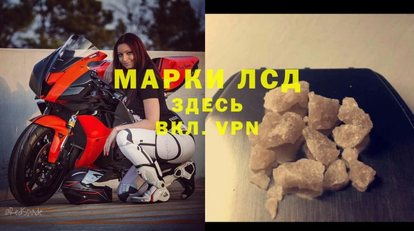 гашик Сосновый Бор